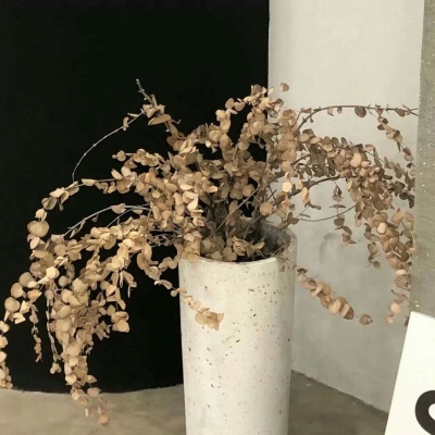 Furry数位绘画实用技巧福瑞交流群